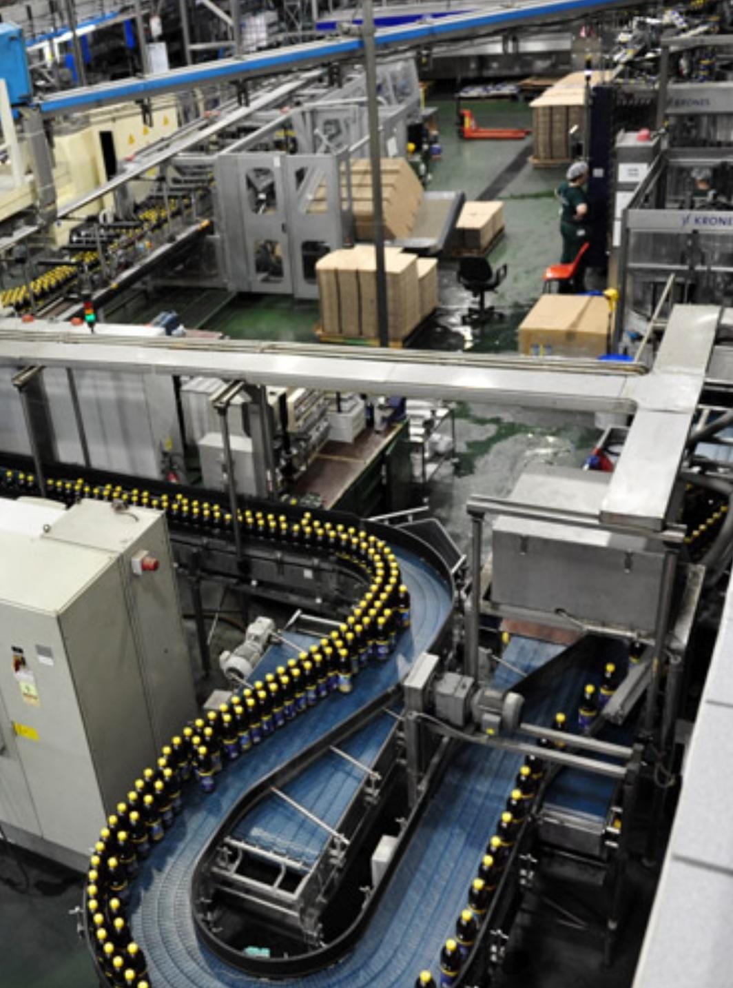 WhatsApp Image 2025-04-08 at 1.45.53 PM